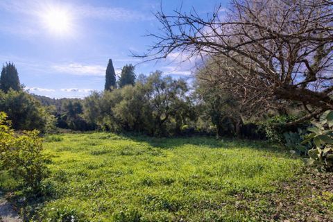 Helårsgrund i Vence, Alpes-Maritimes, Vence - € 353.100 | Ref: 441093TUZ - foto 5