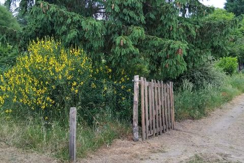 Helårsgrund i Les Bordes, Loiret, Les Bordes - € 19.000 | Ref: 427485NMA - foto 1