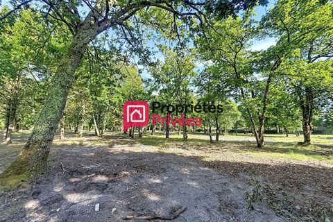 Terra a Hourtin, Gironde, Hourtin - € 235.000 | Ref: 435625PBON - foto 3