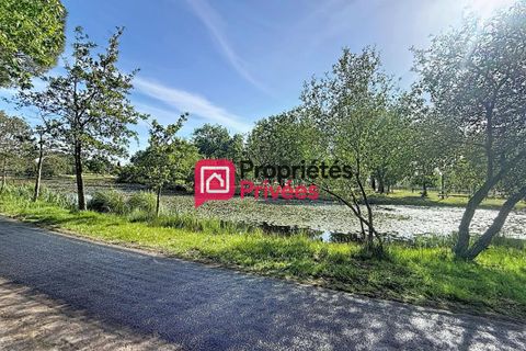 Terra a Hourtin, Gironde, Hourtin - € 235.000 | Ref: 435625PBON - foto 5