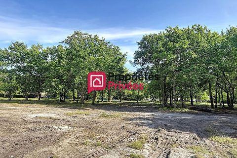 Terra a Hourtin, Gironde, Hourtin - € 235.000 | Ref: 435625PBON - foto 7