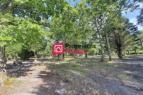 Terra a Hourtin, Gironde, Hourtin - € 235.000 | Ref: 435625PBON - foto 10