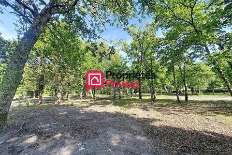 Terra a Hourtin, Gironde, Hourtin - € 173.000 | Ref: 434711PBON - foto 3