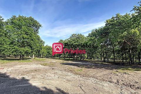 Terra a Hourtin, Gironde, Hourtin - € 173.000 | Ref: 434711PBON - foto 6