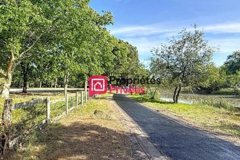 Terra a Hourtin, Gironde, Hourtin - € 173.000 | Ref: 434711PBON - foto 7