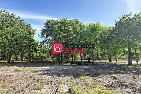 Terra a Hourtin, Gironde, Hourtin - € 173.000 | Ref: 434711PBON - foto 8