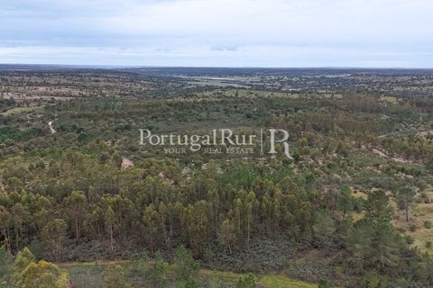 Terra a Gaviao, Portalegre, Gaviao - € 26.900 | Ref: FG644 - foto 11