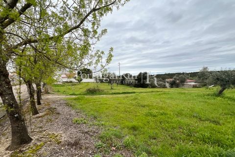 Helårsgrund i Gaviao, Portalegre, Gaviao - € 17.500 | Ref: FG675 - foto 2