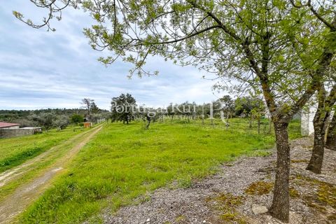 Helårsgrund i Gaviao, Portalegre, Gaviao - € 17.500 | Ref: FG675 - foto 4