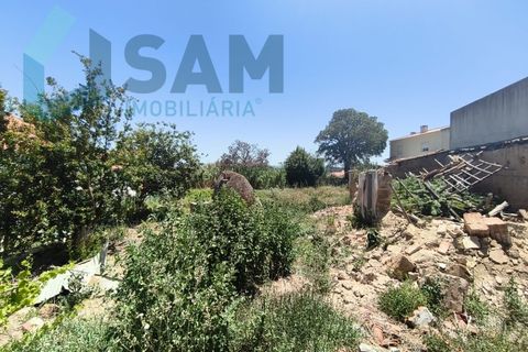 Helårsgrund i Torres Vedras, Lisbon, Torres Vedras - € 86.500 | Ref: SMA/SM011-26 - foto 10