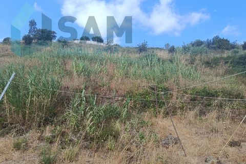 Helårsgrund i Matacaes, Lisbon, Matacaes - € 129.000 | Ref: TV/JP-RF004-26 - foto 6