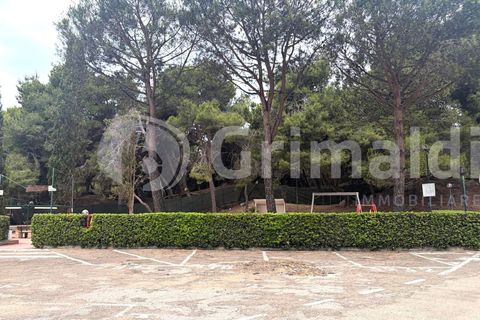 Lejlighed i Gallipoli, Lecce, Gallipoli - € 25.000 | Ref: 25dune - foto 17
