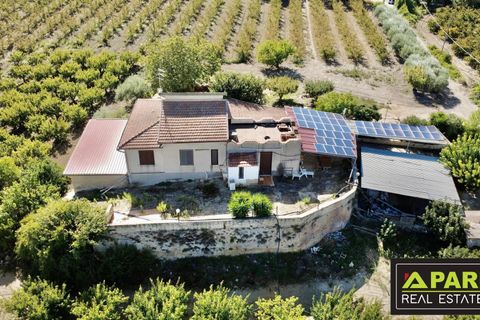 Villa i Canicatti, Agrigento, Canicatti - € 380.000 | Ref: 87129648 - foto 9