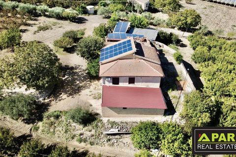 Villa i Canicatti, Agrigento, Canicatti - € 380.000 | Ref: 87129648 - foto 14