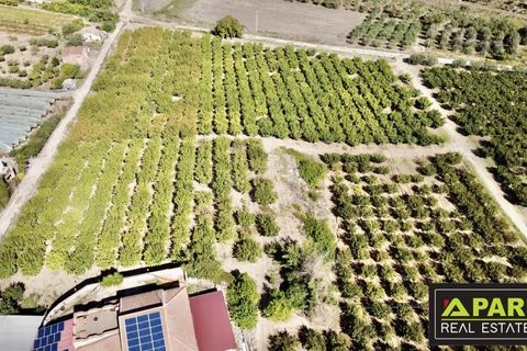 Villa i Canicatti, Agrigento, Canicatti - € 380.000 | Ref: 87129648 - foto 15