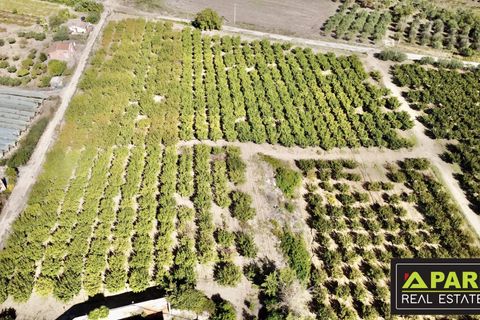 Villa i Canicatti, Agrigento, Canicatti - € 380.000 | Ref: 87129648 - foto 16