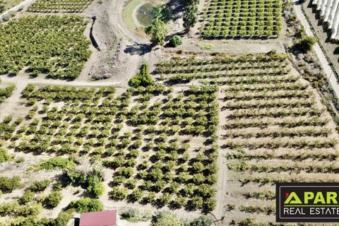 Villa i Canicatti, Agrigento, Canicatti - € 380.000 | Ref: 87129648 - foto 17