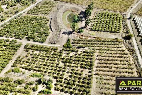 Villa i Canicatti, Agrigento, Canicatti - € 380.000 | Ref: 87129648 - foto 18