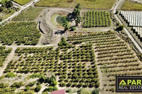 Villa i Canicatti, Agrigento, Canicatti - € 380.000 | Ref: 87129648 - foto 19