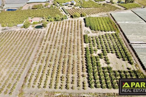 Villa i Canicatti, Agrigento, Canicatti - € 380.000 | Ref: 87129648 - foto 27