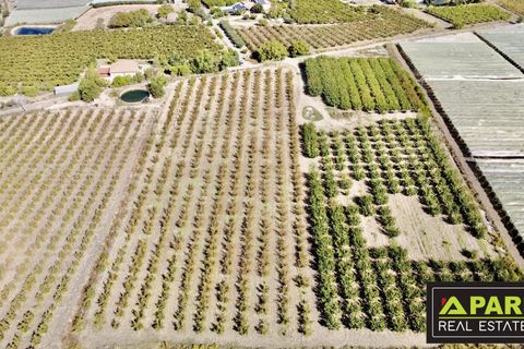 Villa i Canicatti, Agrigento, Canicatti - € 380.000 | Ref: 87129648 - foto 28