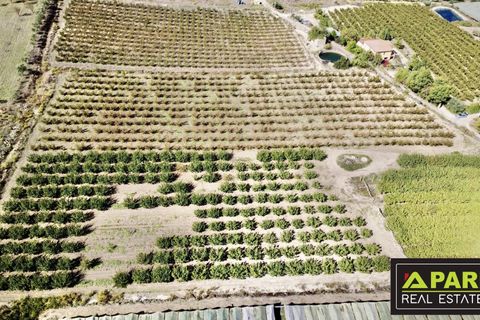 Villa i Canicatti, Agrigento, Canicatti - € 380.000 | Ref: 87129648 - foto 29