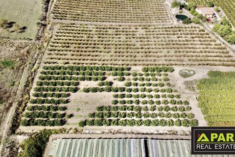 Villa i Canicatti, Agrigento, Canicatti - € 380.000 | Ref: 87129648 - foto 30