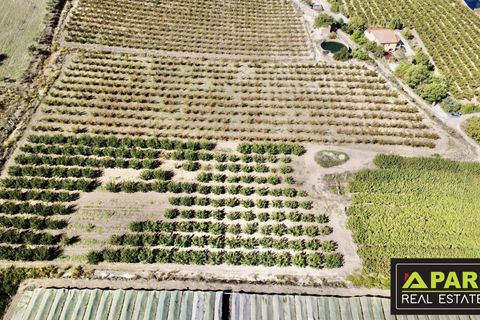 Villa i Canicatti, Agrigento, Canicatti - € 380.000 | Ref: 87129648 - foto 31