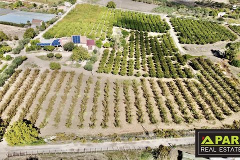 Villa i Canicatti, Agrigento, Canicatti - € 380.000 | Ref: 87129648 - foto 32