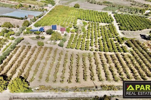 Villa i Canicatti, Agrigento, Canicatti - € 380.000 | Ref: 87129648 - foto 33