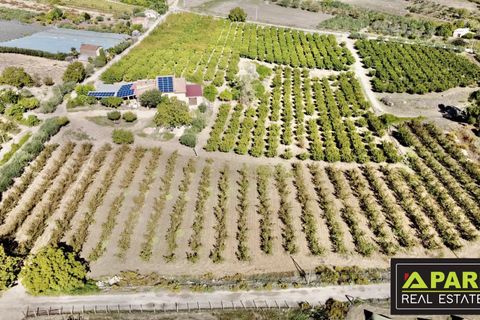 Villa i Canicatti, Agrigento, Canicatti - € 380.000 | Ref: 87129648 - foto 34