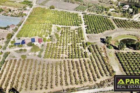Villa i Canicatti, Agrigento, Canicatti - € 380.000 | Ref: 87129648 - foto 35