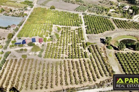 Villa i Canicatti, Agrigento, Canicatti - € 380.000 | Ref: 87129648 - foto 36