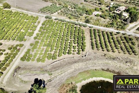 Villa i Canicatti, Agrigento, Canicatti - € 380.000 | Ref: 87129648 - foto 37