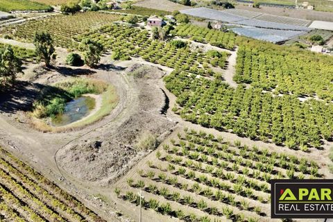 Villa i Canicatti, Agrigento, Canicatti - € 380.000 | Ref: 87129648 - foto 38