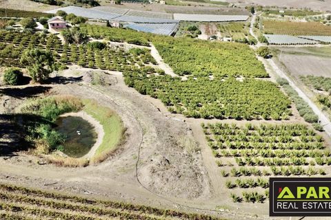 Villa i Canicatti, Agrigento, Canicatti - € 380.000 | Ref: 87129648 - foto 39