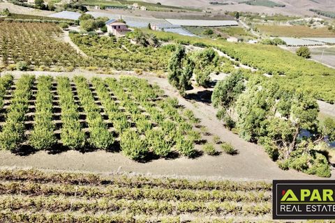 Villa i Canicatti, Agrigento, Canicatti - € 380.000 | Ref: 87129648 - foto 40