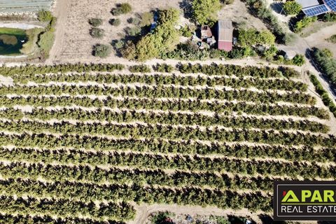 Villa i Canicatti, Agrigento, Canicatti - € 380.000 | Ref: 87129648 - foto 41