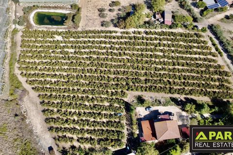 Villa i Canicatti, Agrigento, Canicatti - € 380.000 | Ref: 87129648 - foto 45