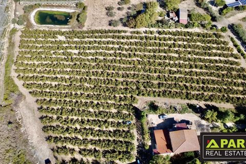 Villa i Canicatti, Agrigento, Canicatti - € 380.000 | Ref: 87129648 - foto 46