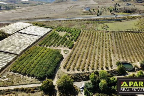 Villa i Canicatti, Agrigento, Canicatti - € 380.000 | Ref: 87129648 - foto 48