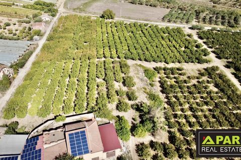 Villa i Canicatti, Agrigento, Canicatti - € 380.000 | Ref: 87129648 - foto 49