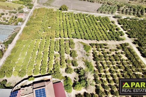 Villa i Canicatti, Agrigento, Canicatti - € 380.000 | Ref: 87129648 - foto 50