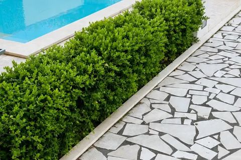 Haus in Augusta, Siracusa, Augusta - € 250.000 | Ref: 87141658 - Foto 7