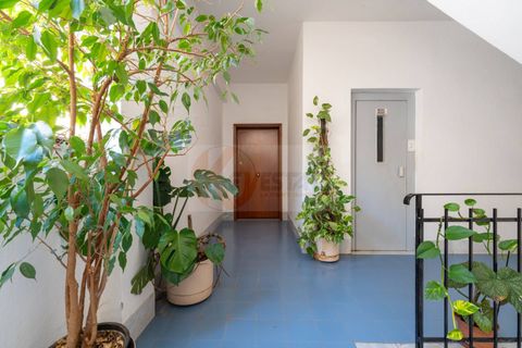 Apartament a Sassari, Sassari, Sassari - € 170.000 | Ref: 14048 - foto 36
