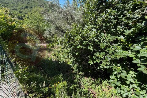 Villa a Rocca d'Arce, Frosinone, Rocca d'Arce - € 42.000 | Ref: AC99-149-1776 - foto 31