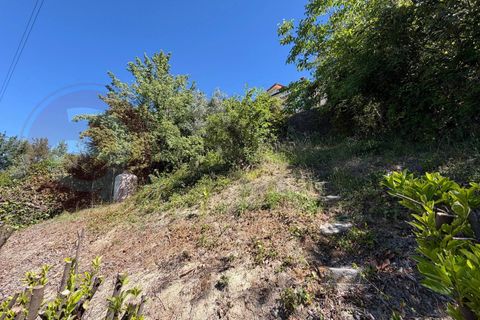 Villa a Rocca d'Arce, Frosinone, Rocca d'Arce - € 42.000 | Ref: AC99-149-1776 - foto 34