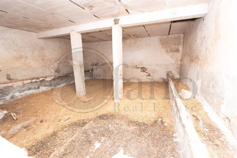 Landejendom i Paterno, Potenza, Paterno - € 60.000 | Ref: AC99-149-1782 - foto 20