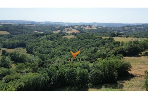 Terra a Badefols-d'Ans, Dordogne, Badefols-d'Ans - € 38.000 | Ref: 85302 - foto 7