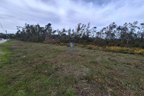 Helårsgrund i Leiria, Leiria, Leiria - € 120.000 | Ref: LIZ-216688 - foto 10